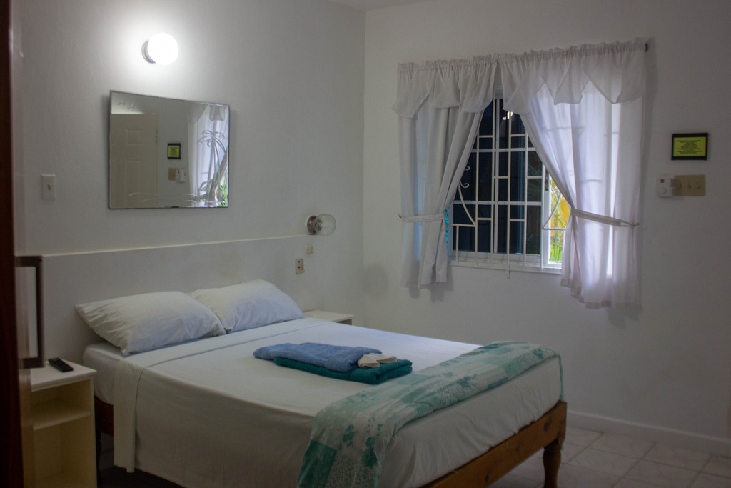 Room Larimar Suite (1109)